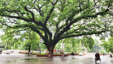 dhaka-university-campus.jpg
