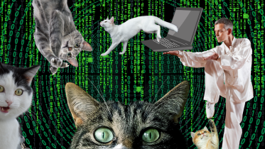 facebook_thumbnail_7_1.png