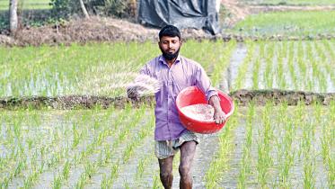 fertiliser-price-new.jpg