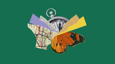 Collage consisting of various elements.