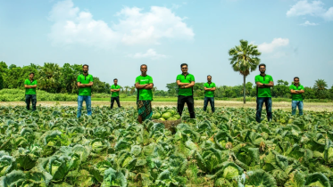 Agri-tech startup Fashol Tk 10 Crore pre-seed funding