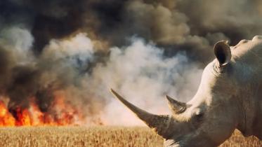 Are we headed toward the sixth mass extinction?