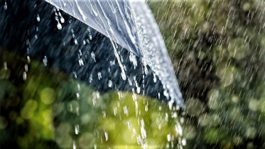 rain_rain.jpg