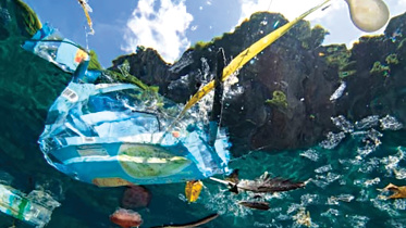 coastal-plastic.jpg