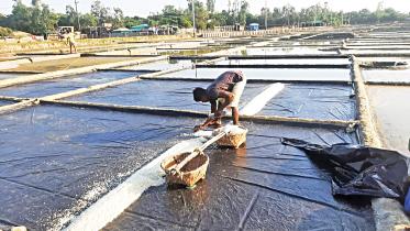 Salt farming in Bangladesh