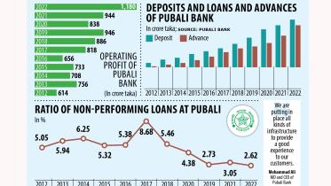 Pubali Bank digital infrastructure