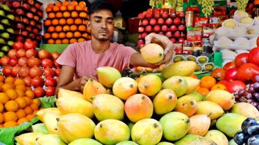 mango-season.jpg