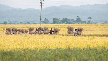 gumai_beel.jpg