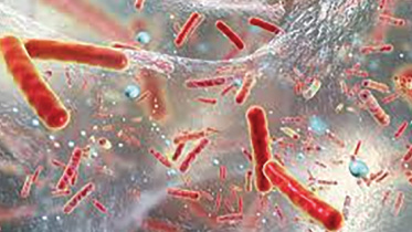 old-antibiotic.jpg