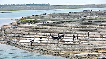 salt production