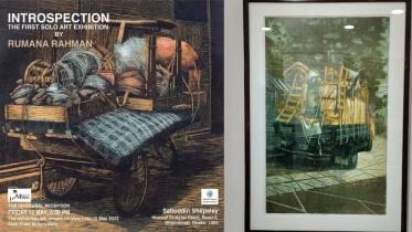 ‘Introspection’: Rumana Rahman’s paintings evoke nostalgia