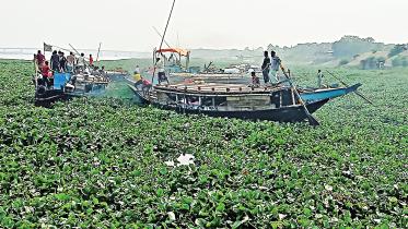 alokbalis-water.jpg