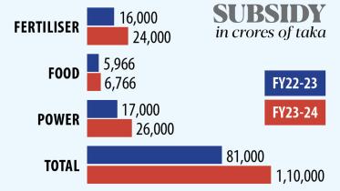 Subsidies in Bangladesh's National Budget 2023-23