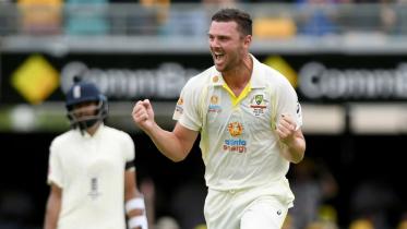 hazlewood.jpeg