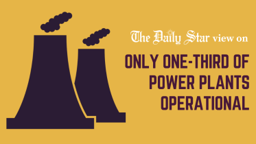 only one-third of power plants in Bangladesh running at full capacity 