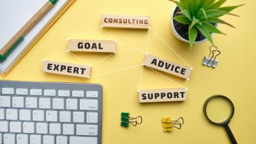 Career in the consulting industry: What does it mean for you