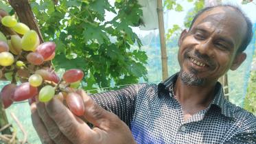 farmer-hasem-ali.jpg