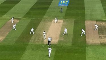 stokes.jpg