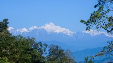 Himalayan