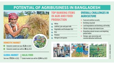 agribusiness