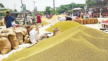 patuakhali_pic.jpg