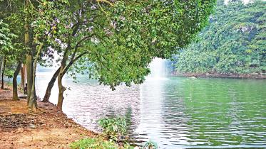 waterfall.jpg
