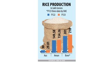 rice.jpg
