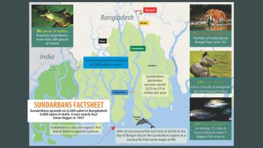 sundarbans.jpg