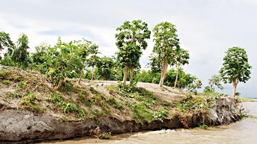 photo-2.jpg