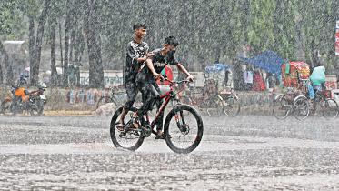 rain3.jpg