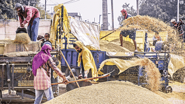 labourers.gif
