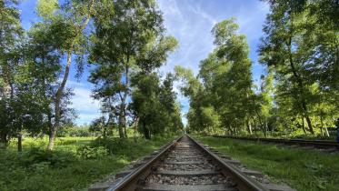 Reasons why you should travel within Bangladesh