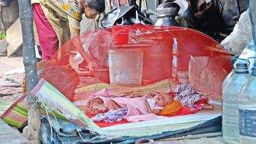 A baby sleeps inside a tiny mosquito net placed there by her homeless mother as a bite of an Aedes mosquito can cause dengue.