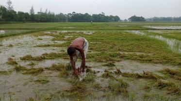 patuakhali-1.jpg