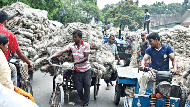 Falling exports hit jute growers
