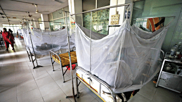 dengue-1.gif