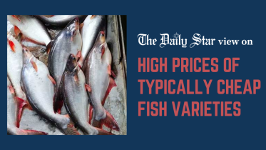 fish price in bangladesh
