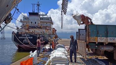 India expands curbs on rice exports