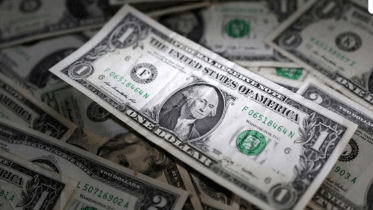 dollar-holds-steady.gif