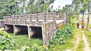 bridge.jpg