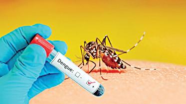 dengue-crisis.jpg