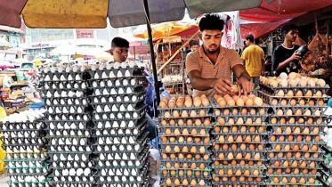 Two panels formed to probe high egg, chicken prices