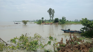 flood.jpg