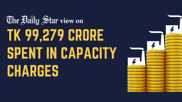 Capacity charges in power sector