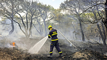 paris-climate.jpg