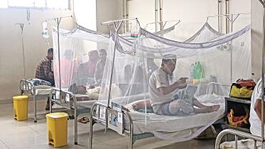 Dengue Outbreak: Dhaka saw most deaths this season