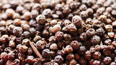 The bustling spice market of ChawkBazar