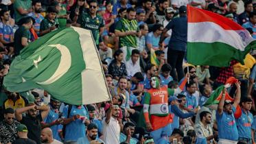 india_v_pak_fan_2.jpg