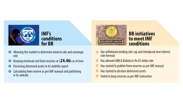 imf.jpeg