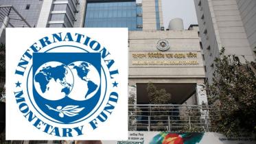 IMF wants to know why stock turnover fell